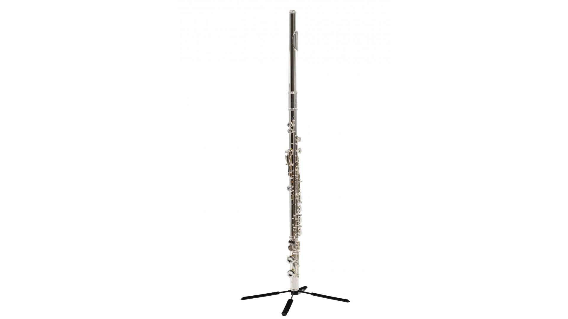 Magazin - Parrot 6456 S