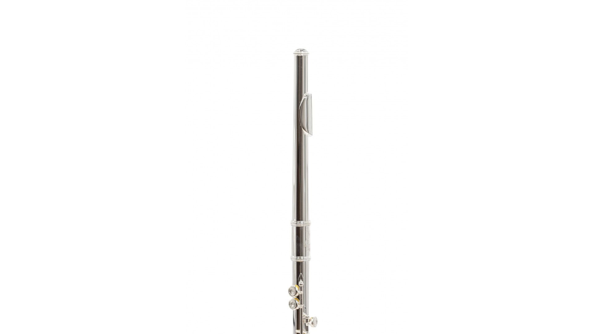 Parrot 6456 S [2]