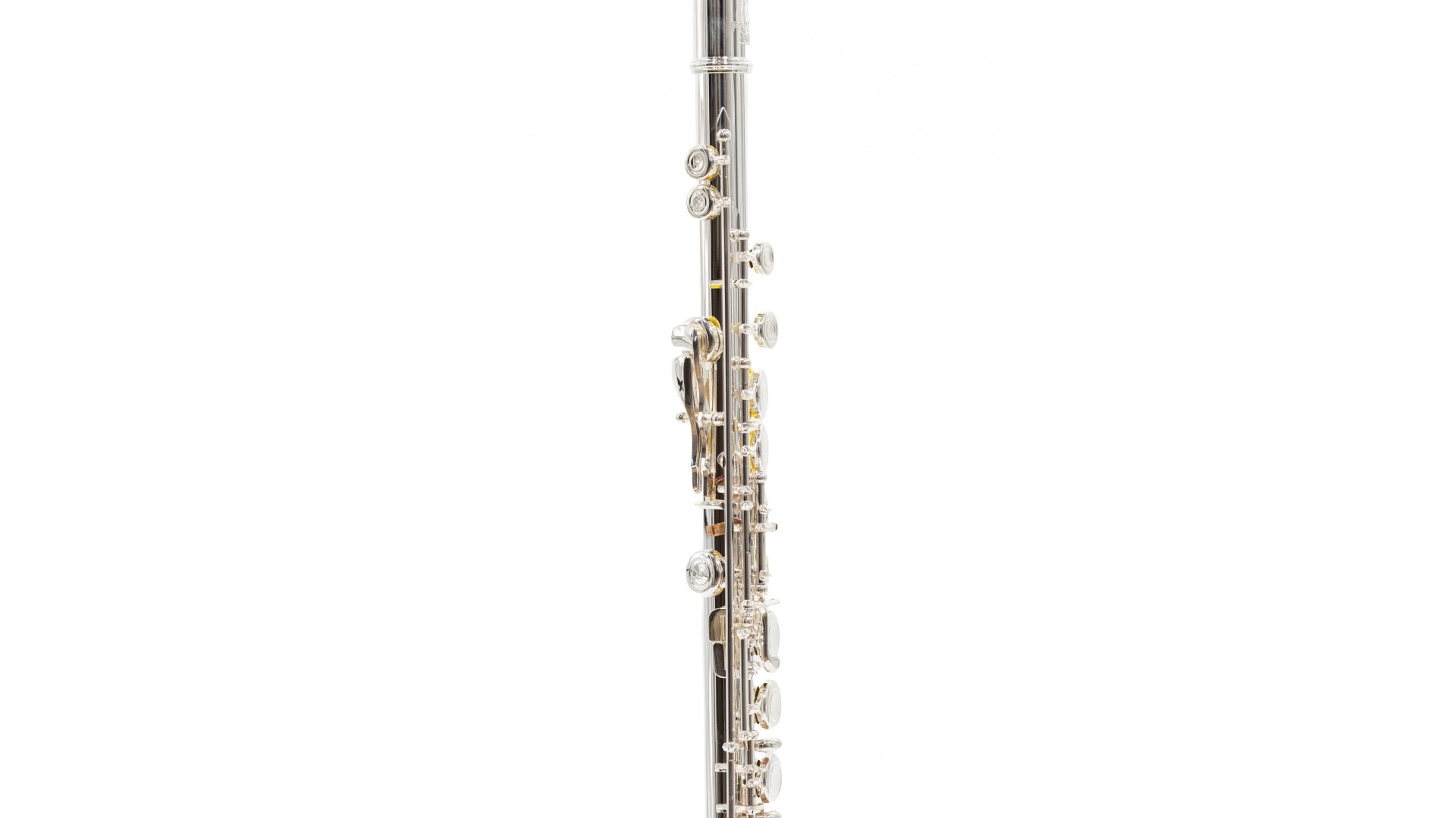 Parrot 6456 S [3]