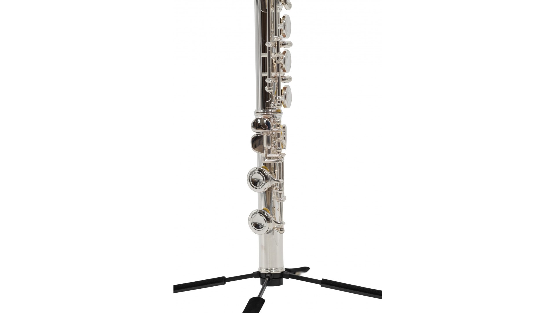 Parrot 6456 S [4]