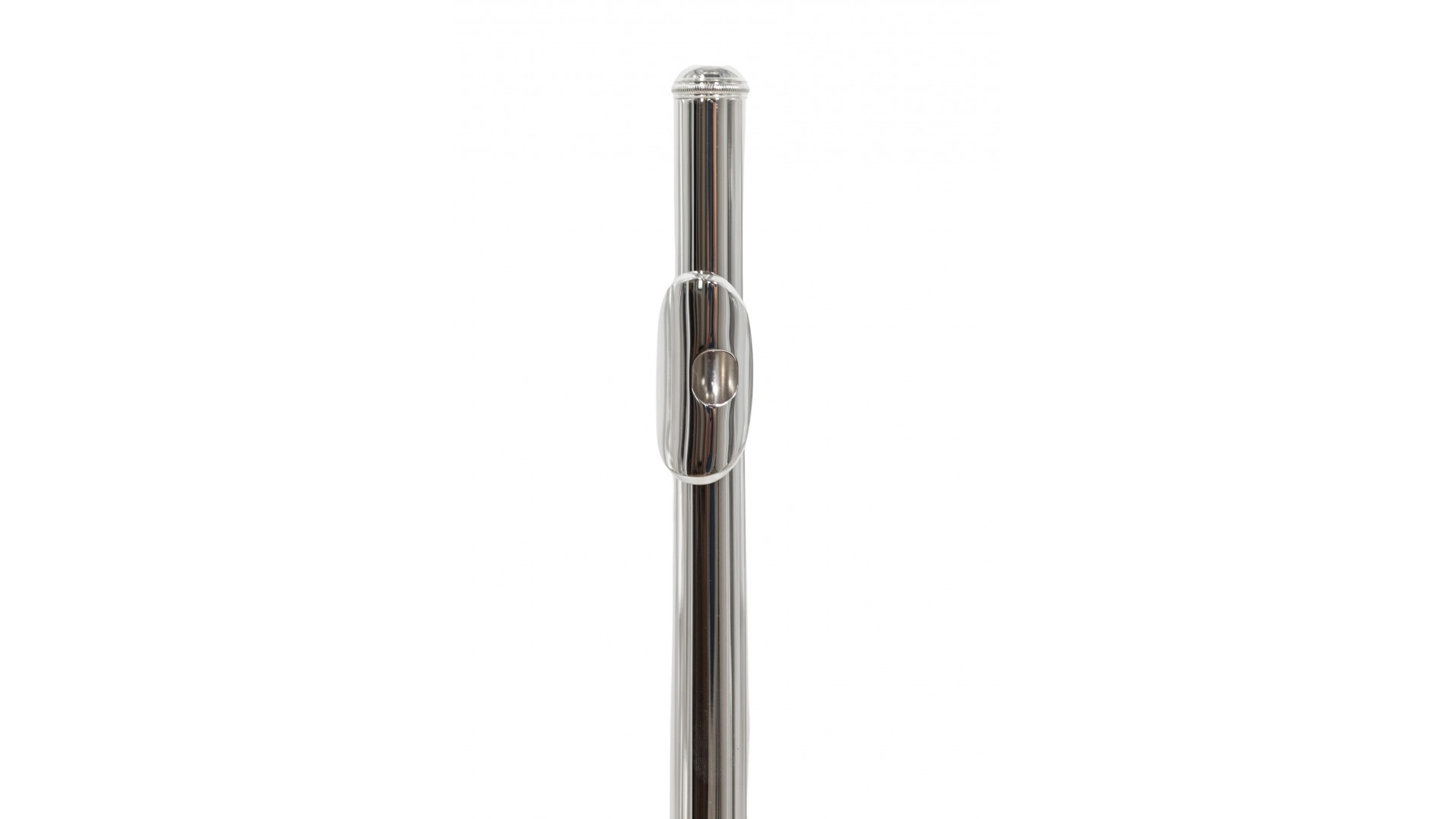 Parrot 6456 S [5]