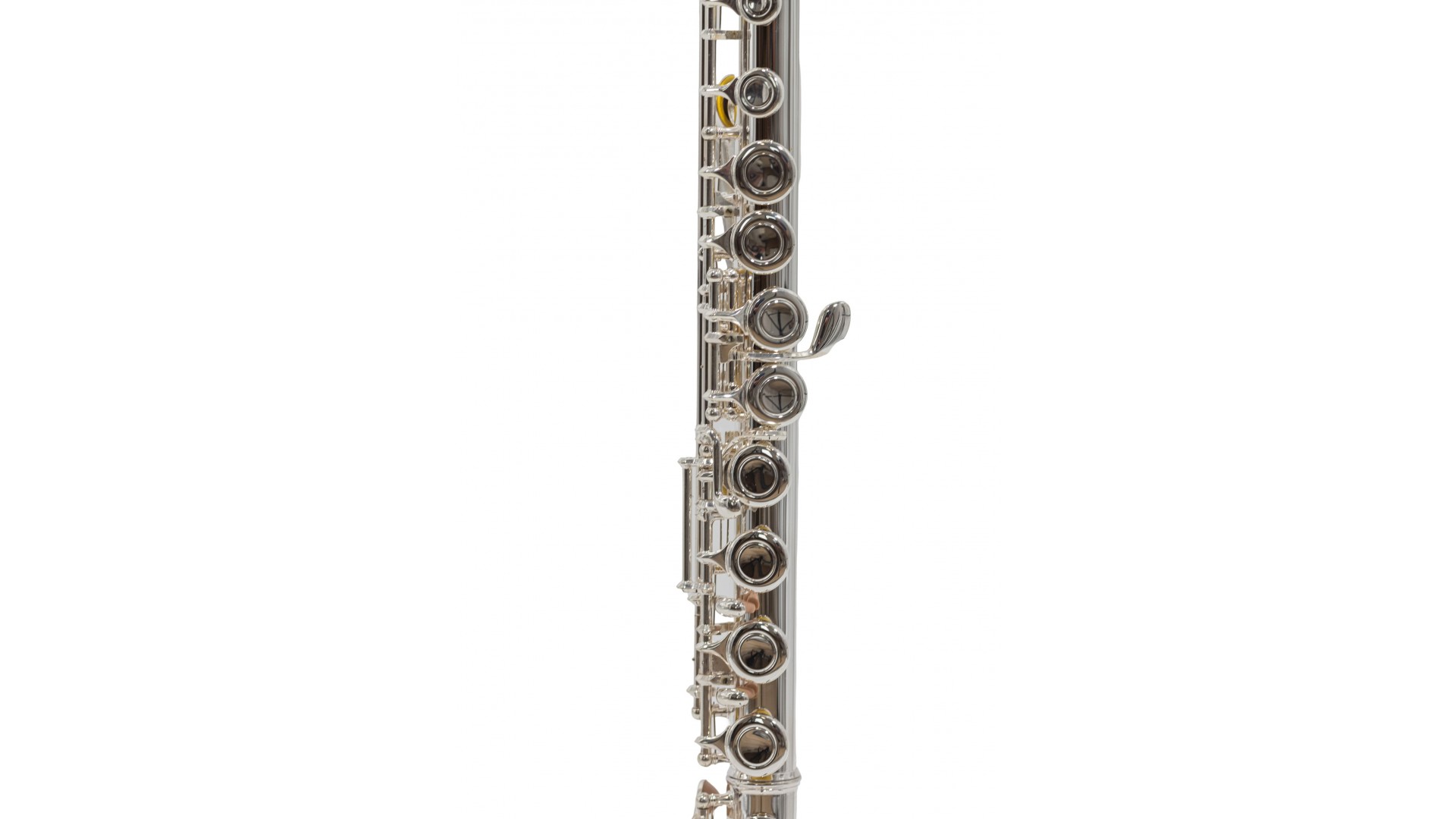 Parrot 6456 S [6]
