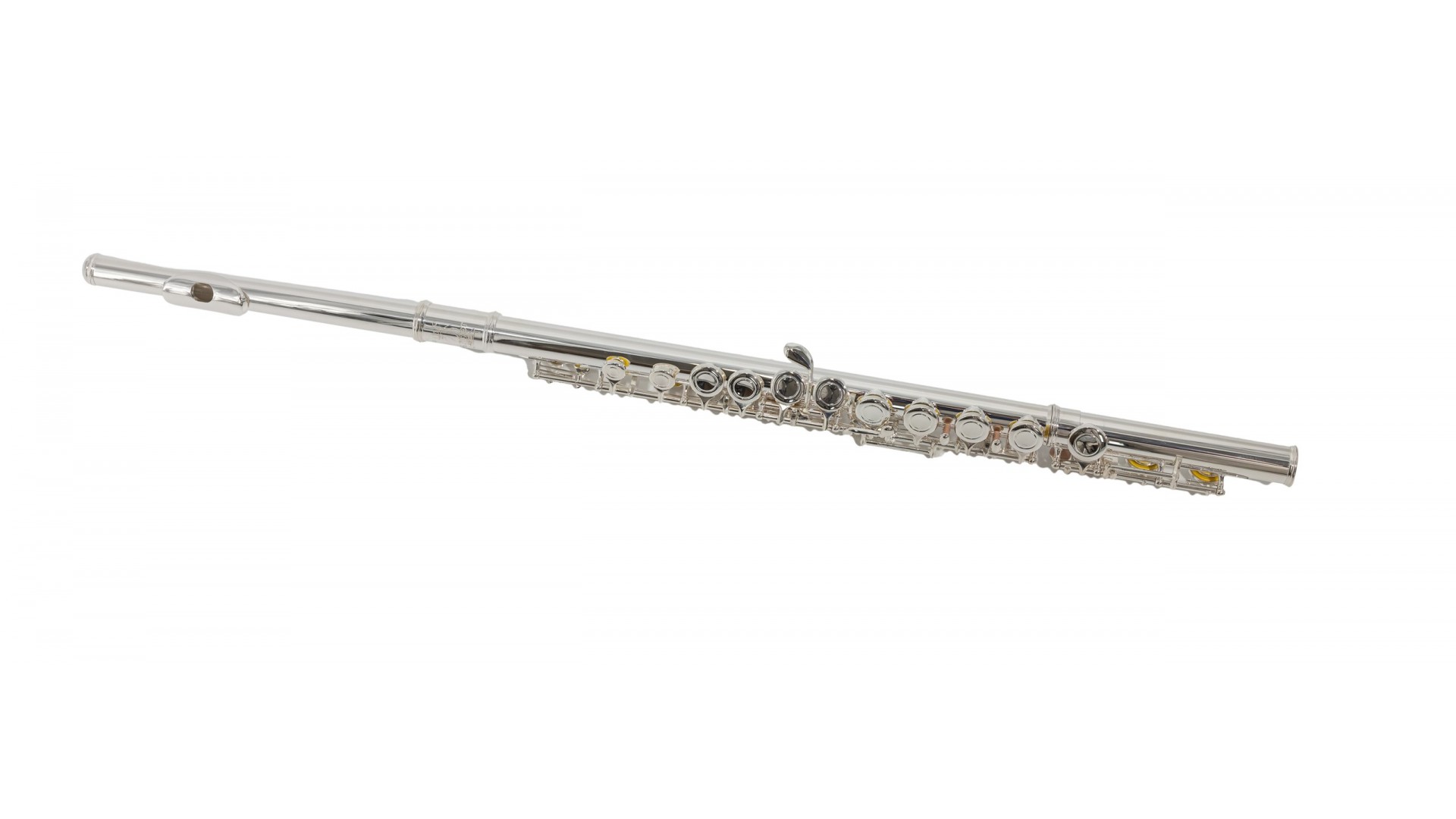 Parrot 6456 S [8]