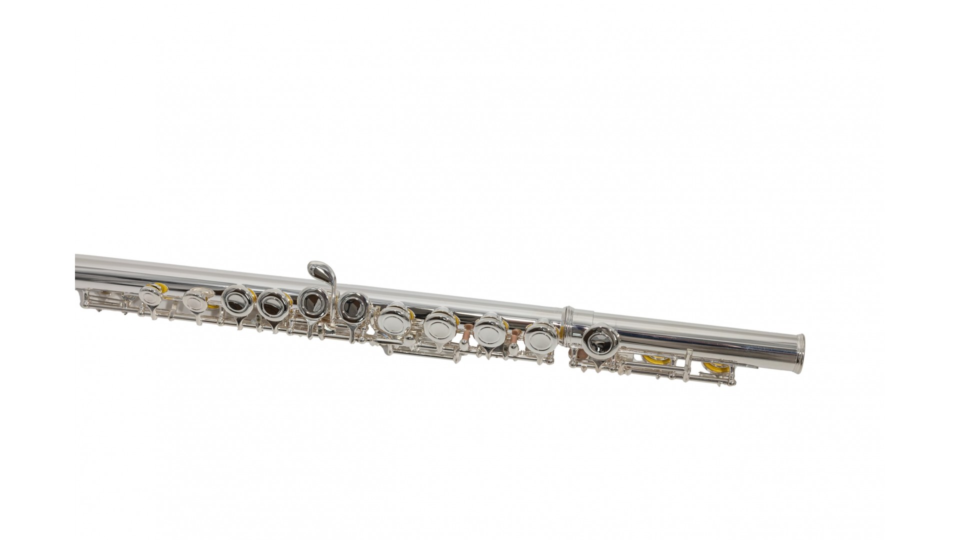 Parrot 6456 S [9]