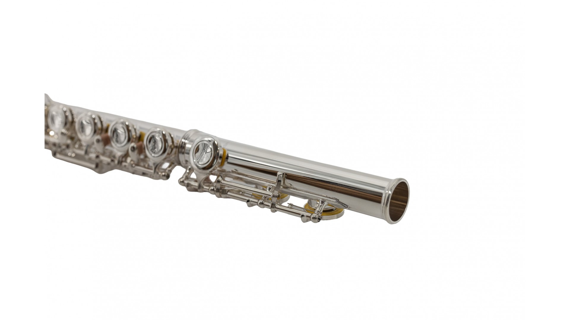 Parrot 6456 S [11]