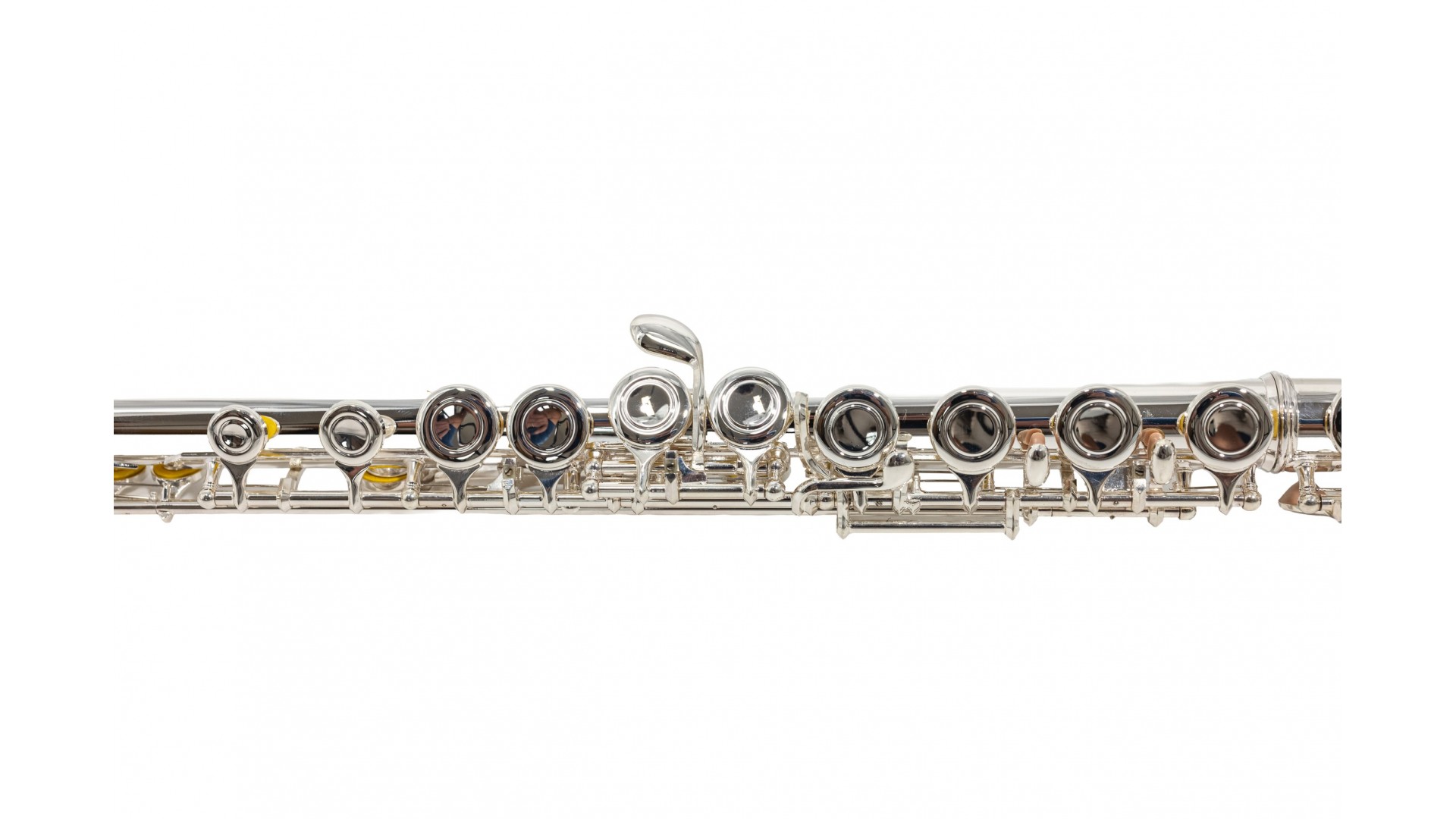 Parrot 6456 S [10]
