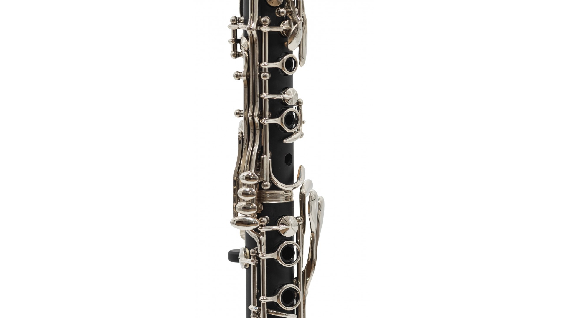 Parrot 7401 N [8]