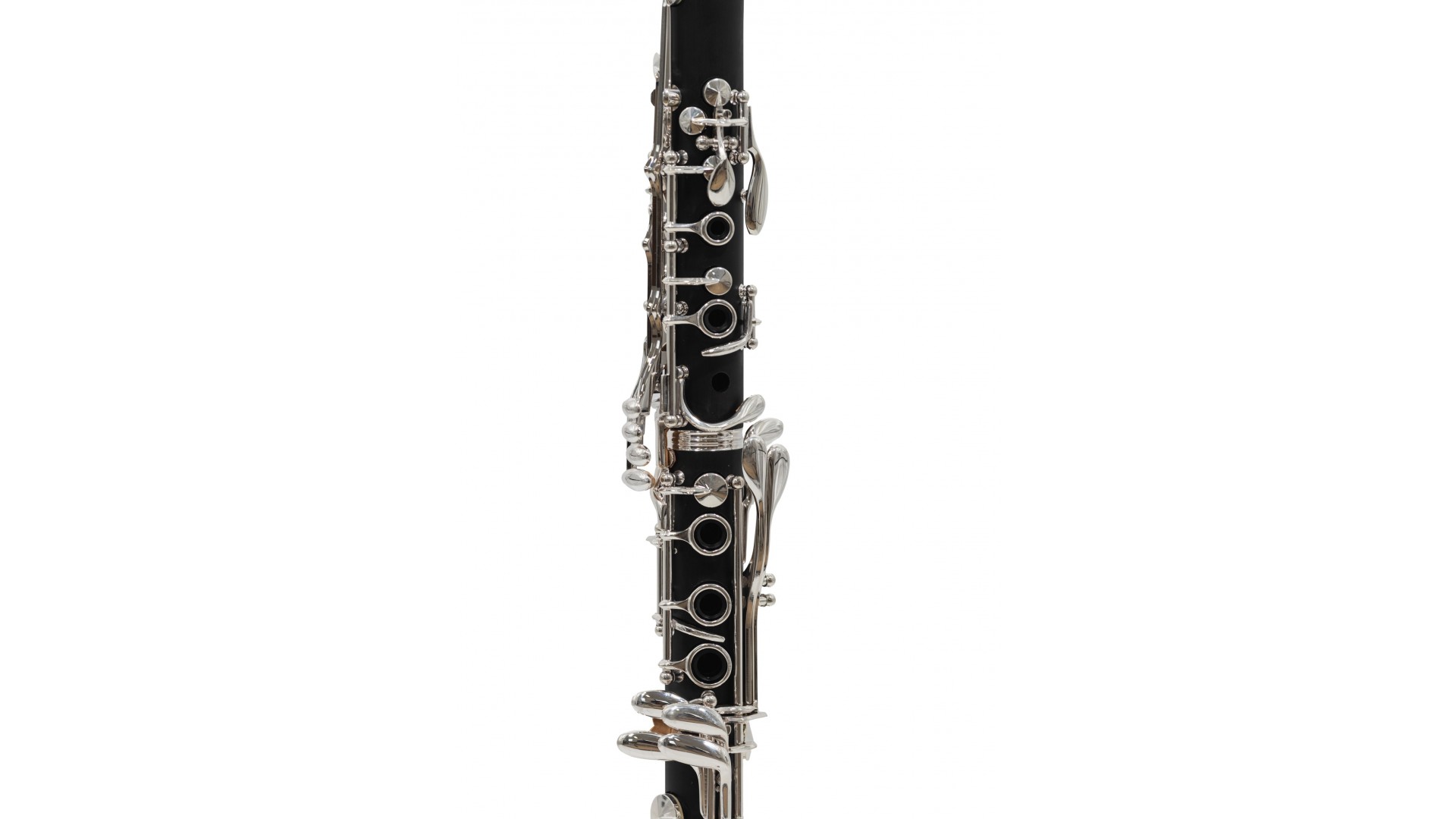 Parrot 7401 S [5]