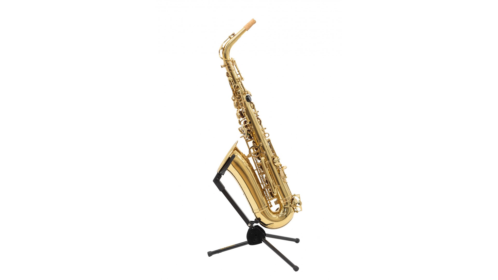 Parrot 6430L [2]
