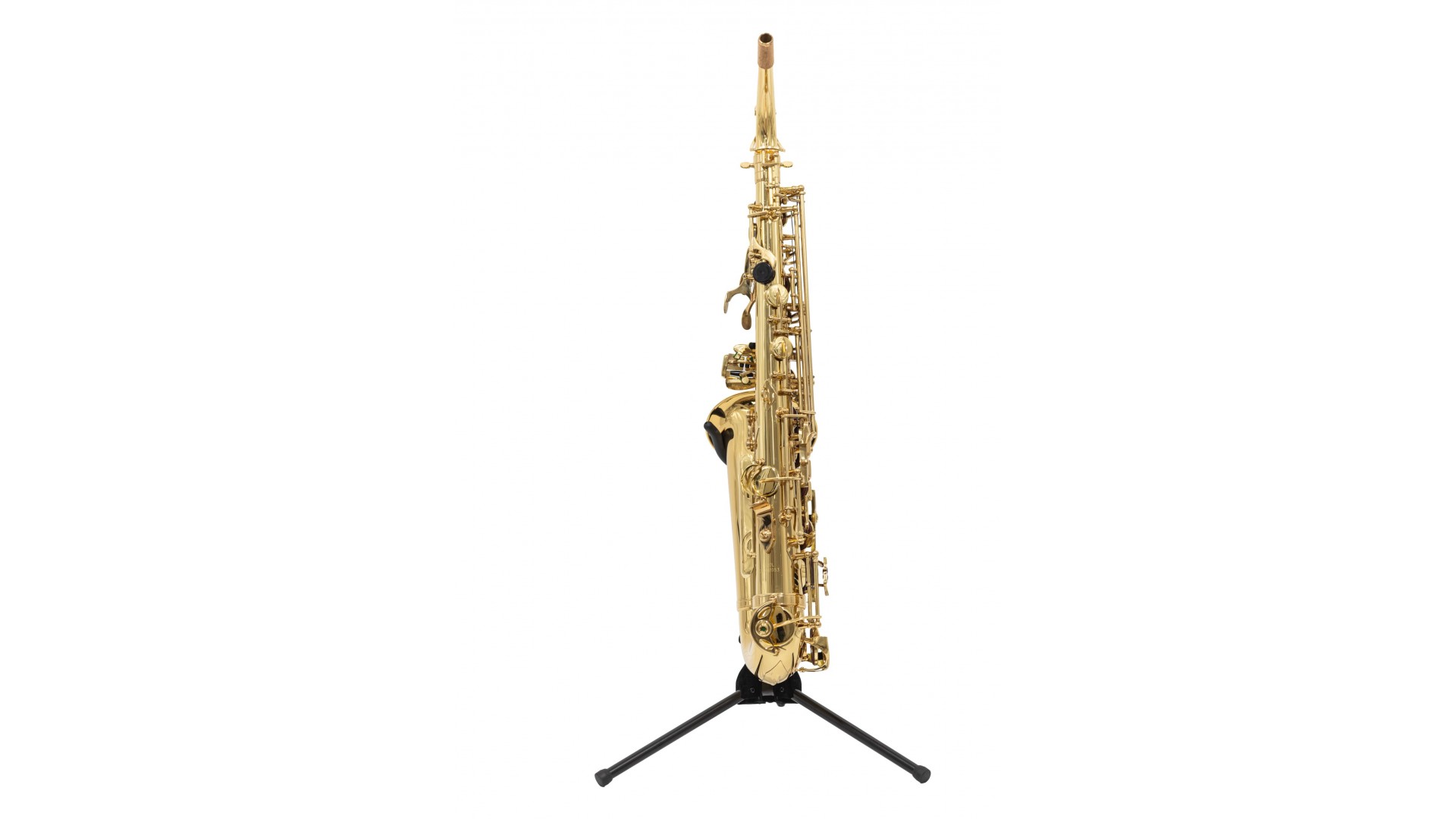 Parrot 6430L [3]