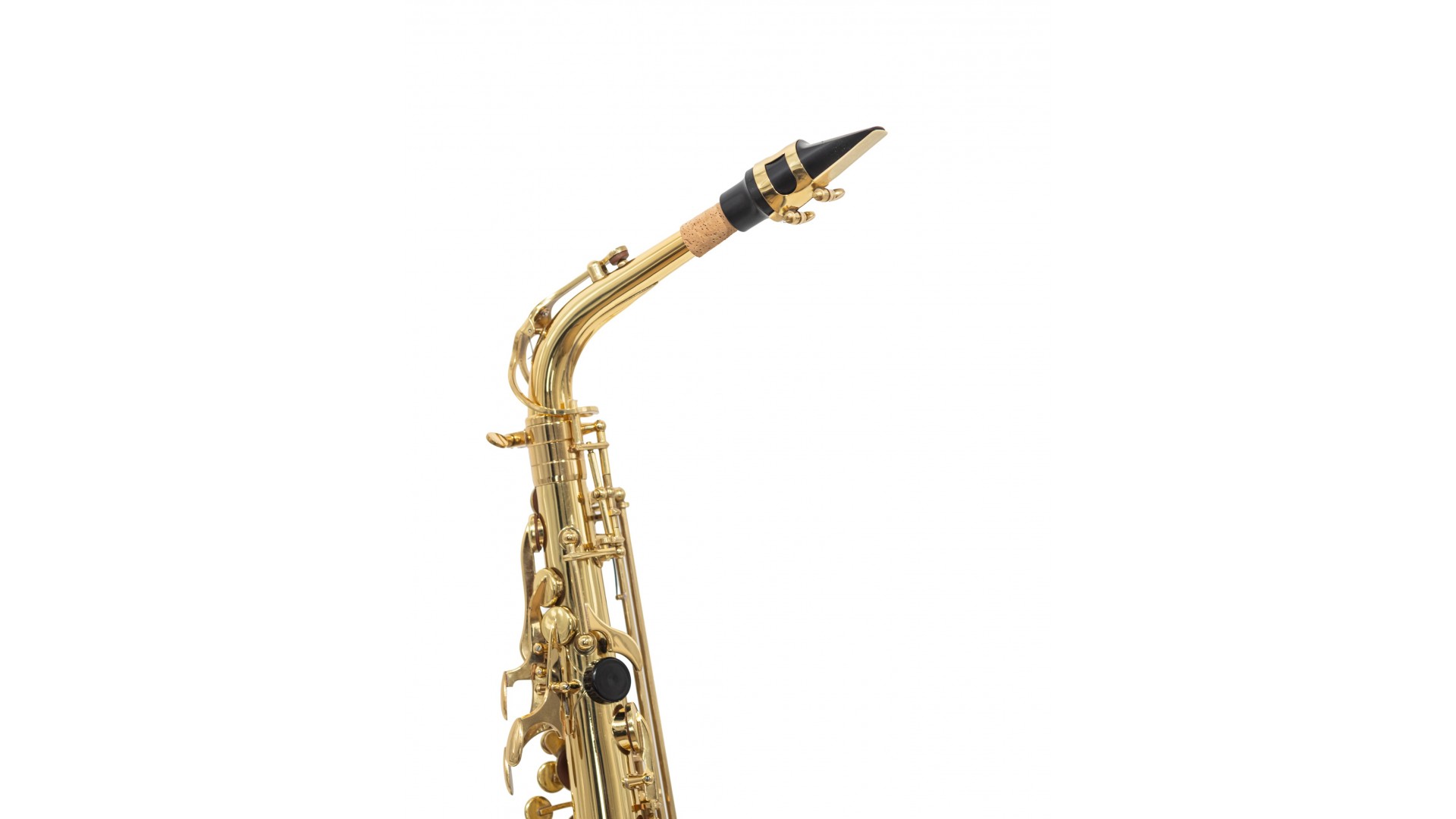 Parrot 6430L [4]