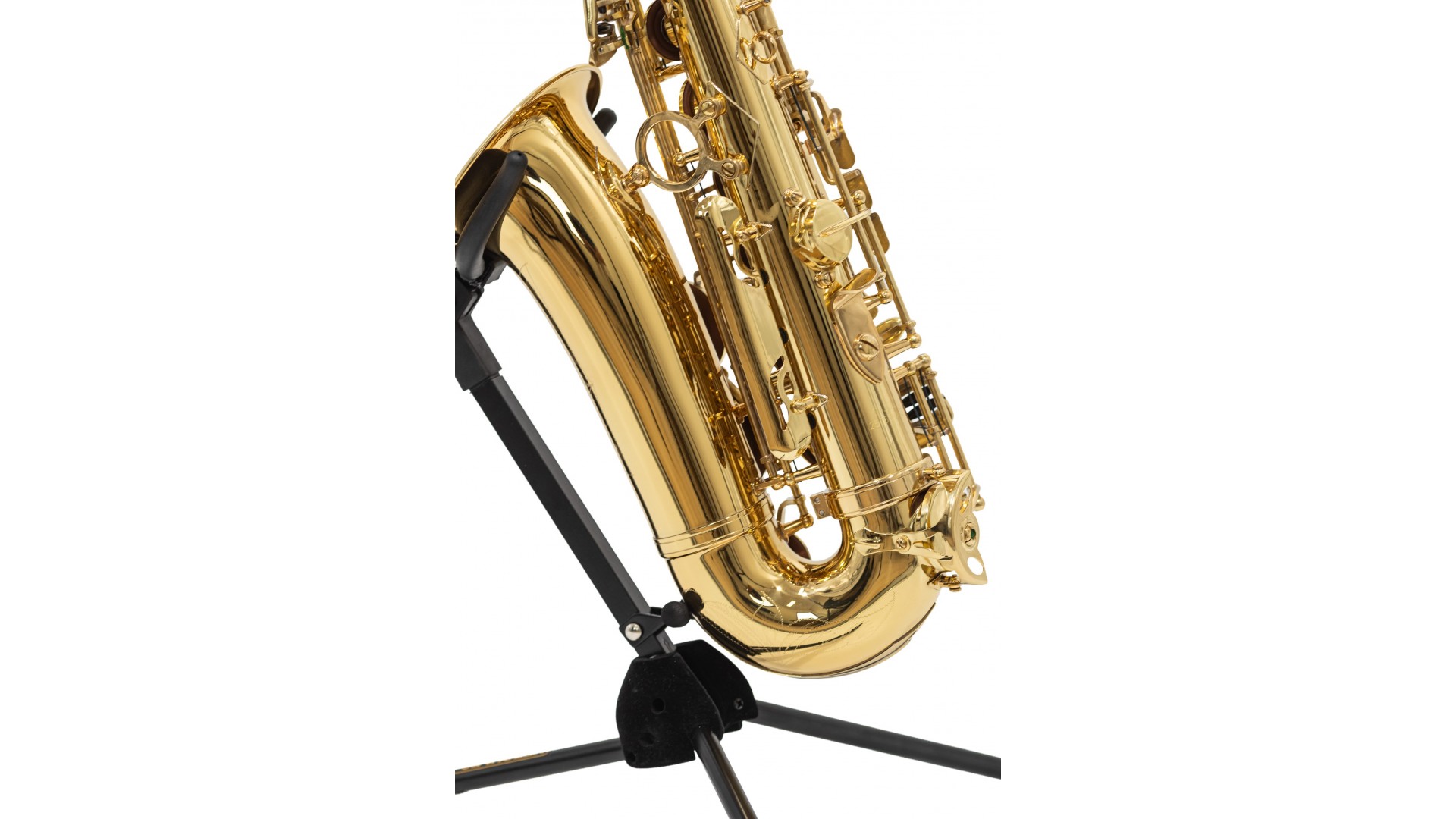 Parrot 6430L [6]