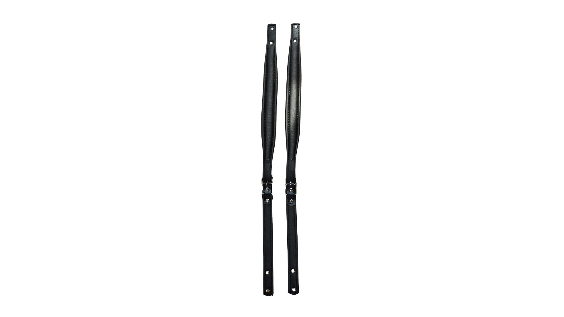 Parrot Accordion Straps M [2]