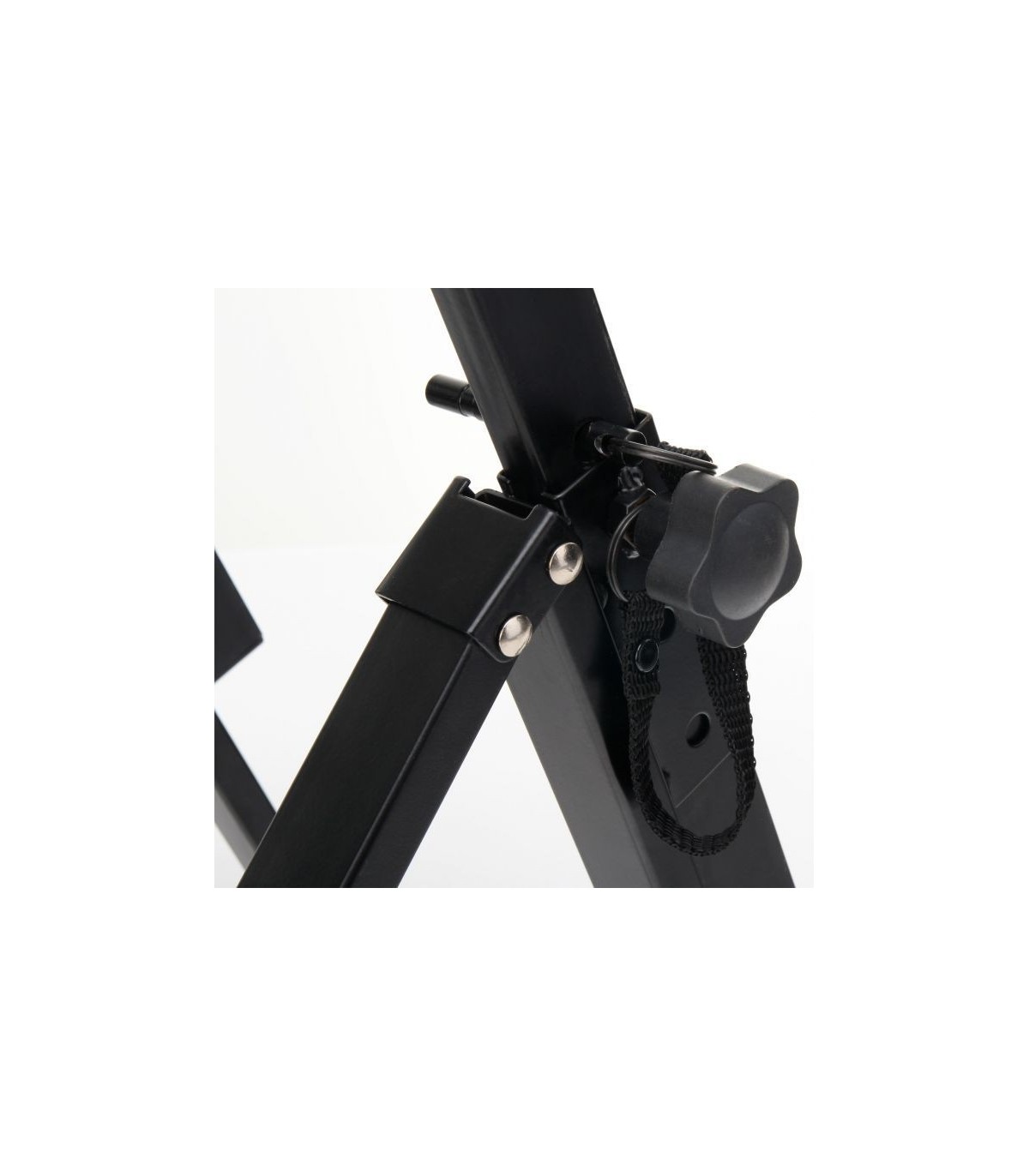 Pronomic AS-100 [2]