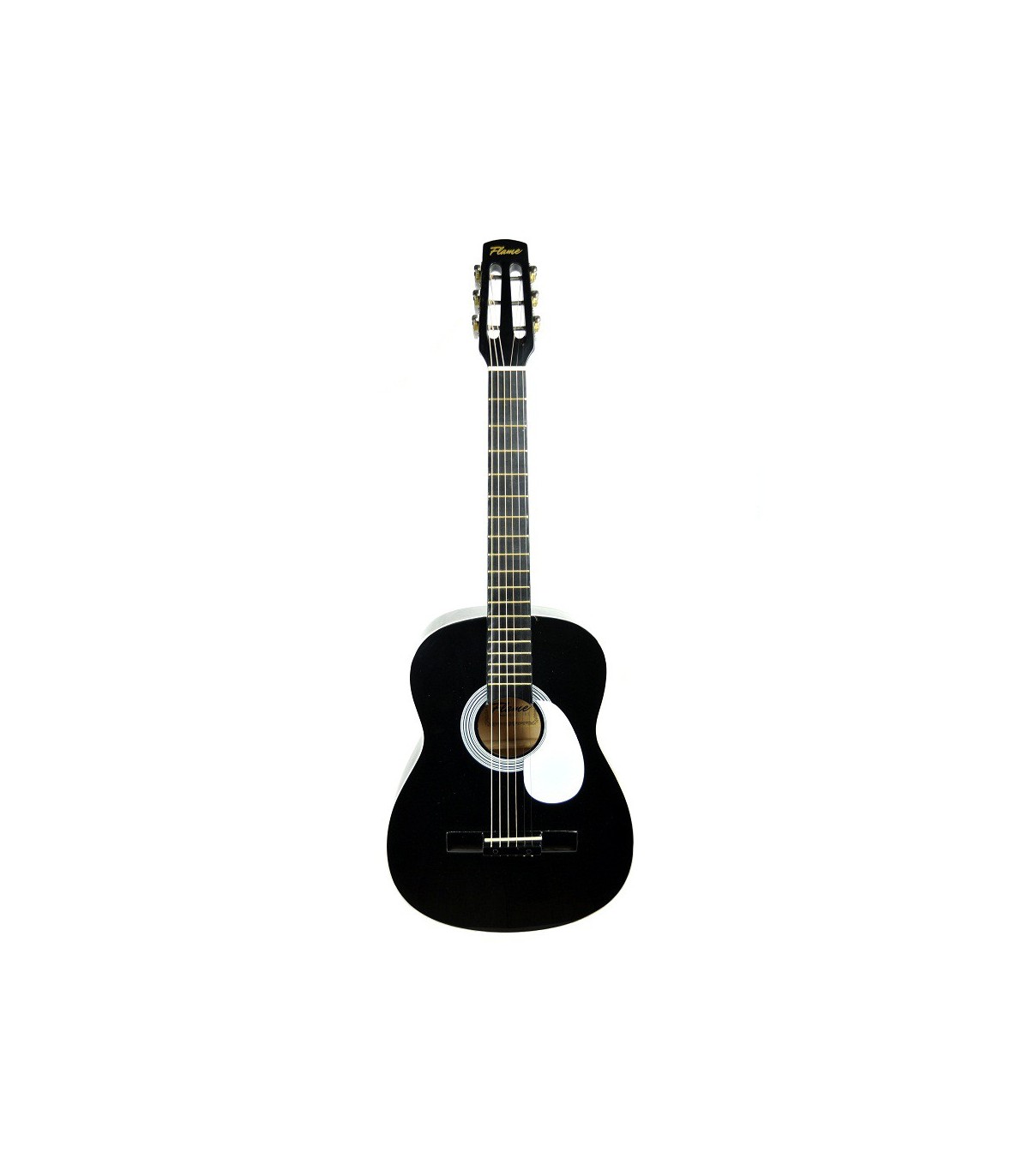 Chitare si bass - Flame CAG 100 BK