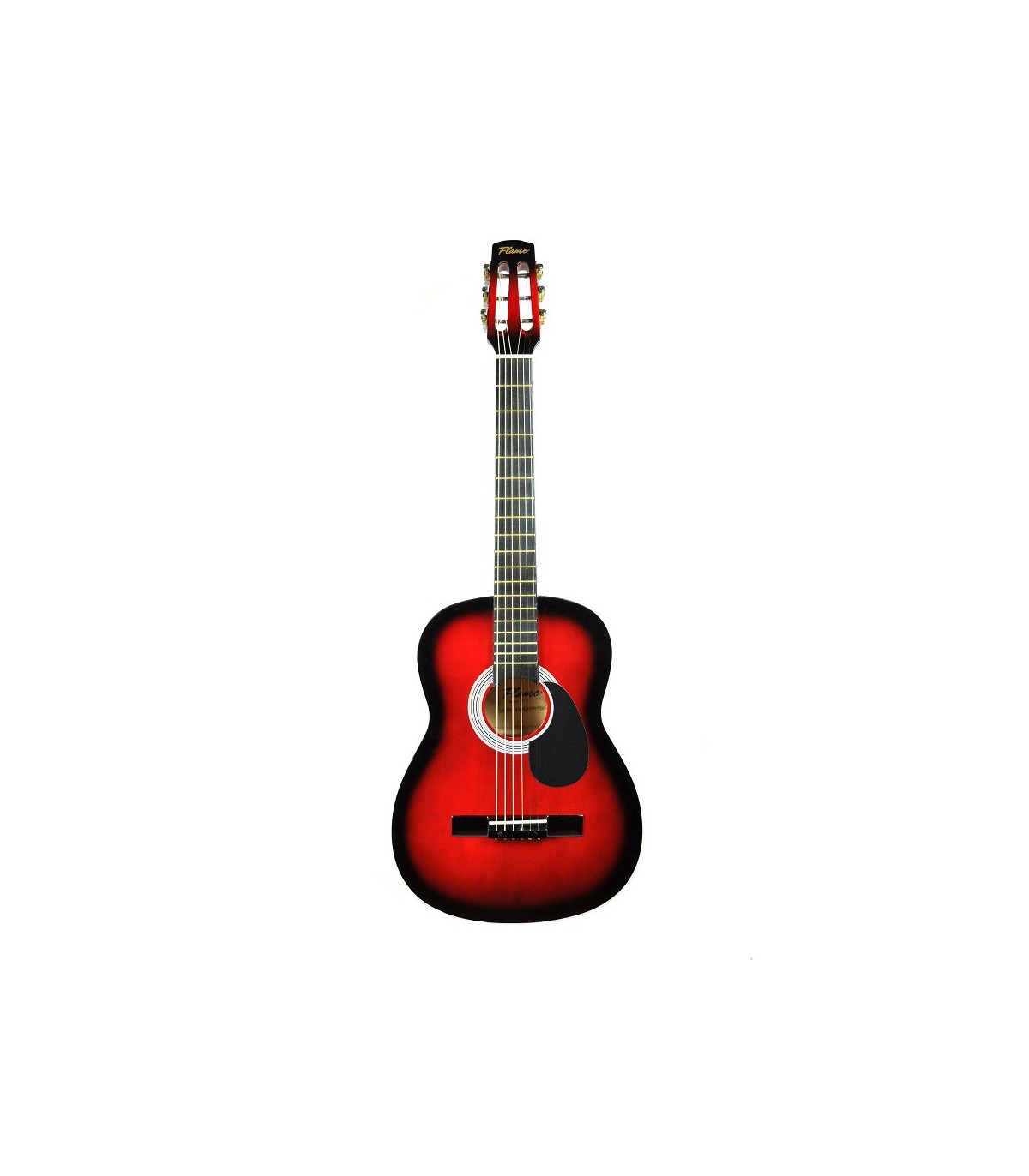 Chitare si bass - Flame CAG 100 RDS