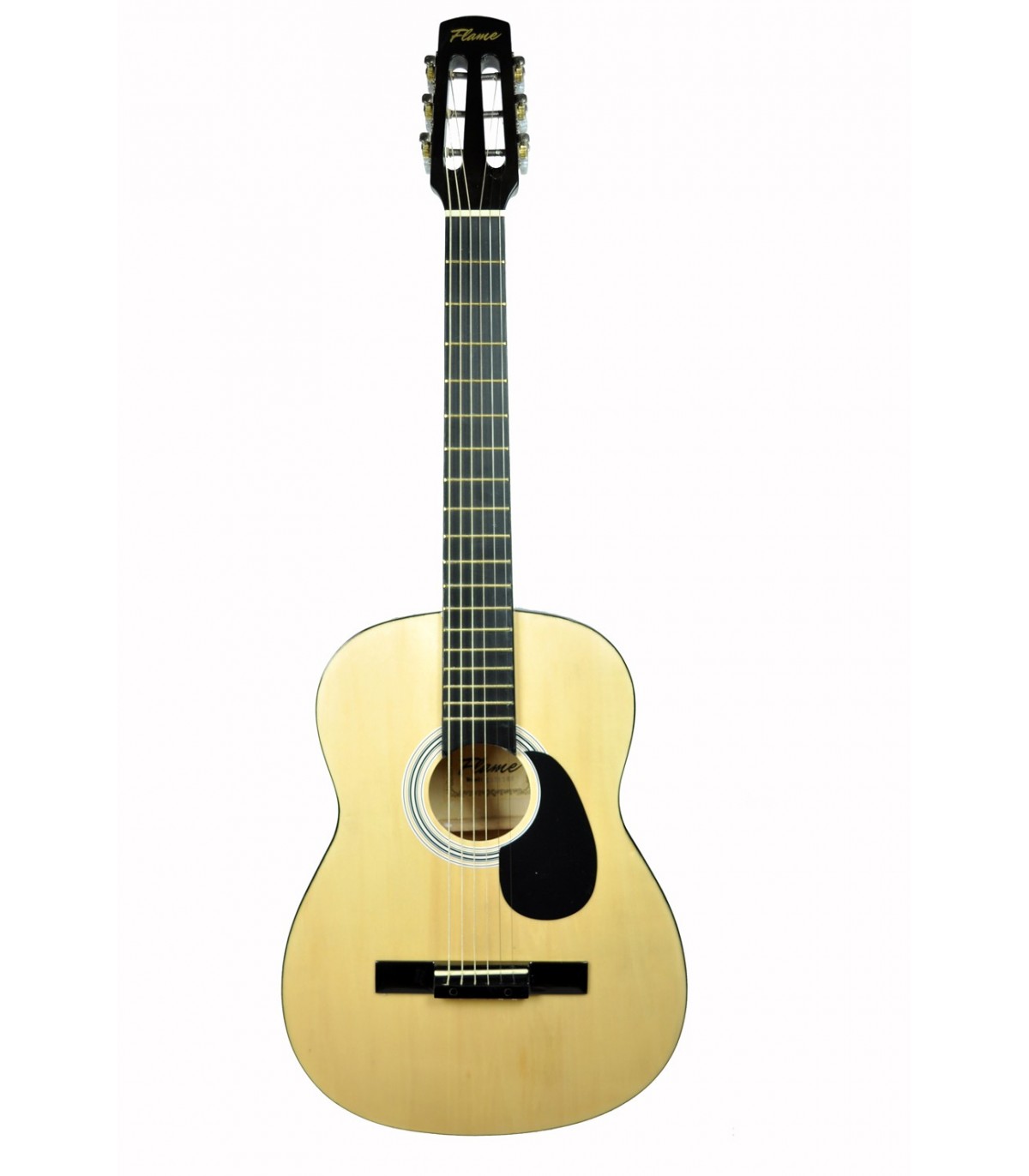 Chitare si bass - Flame CAG 100 NA