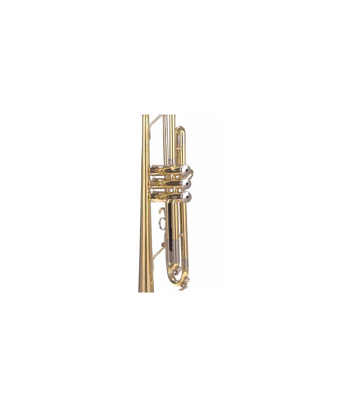 Parrot 6416 L [2]