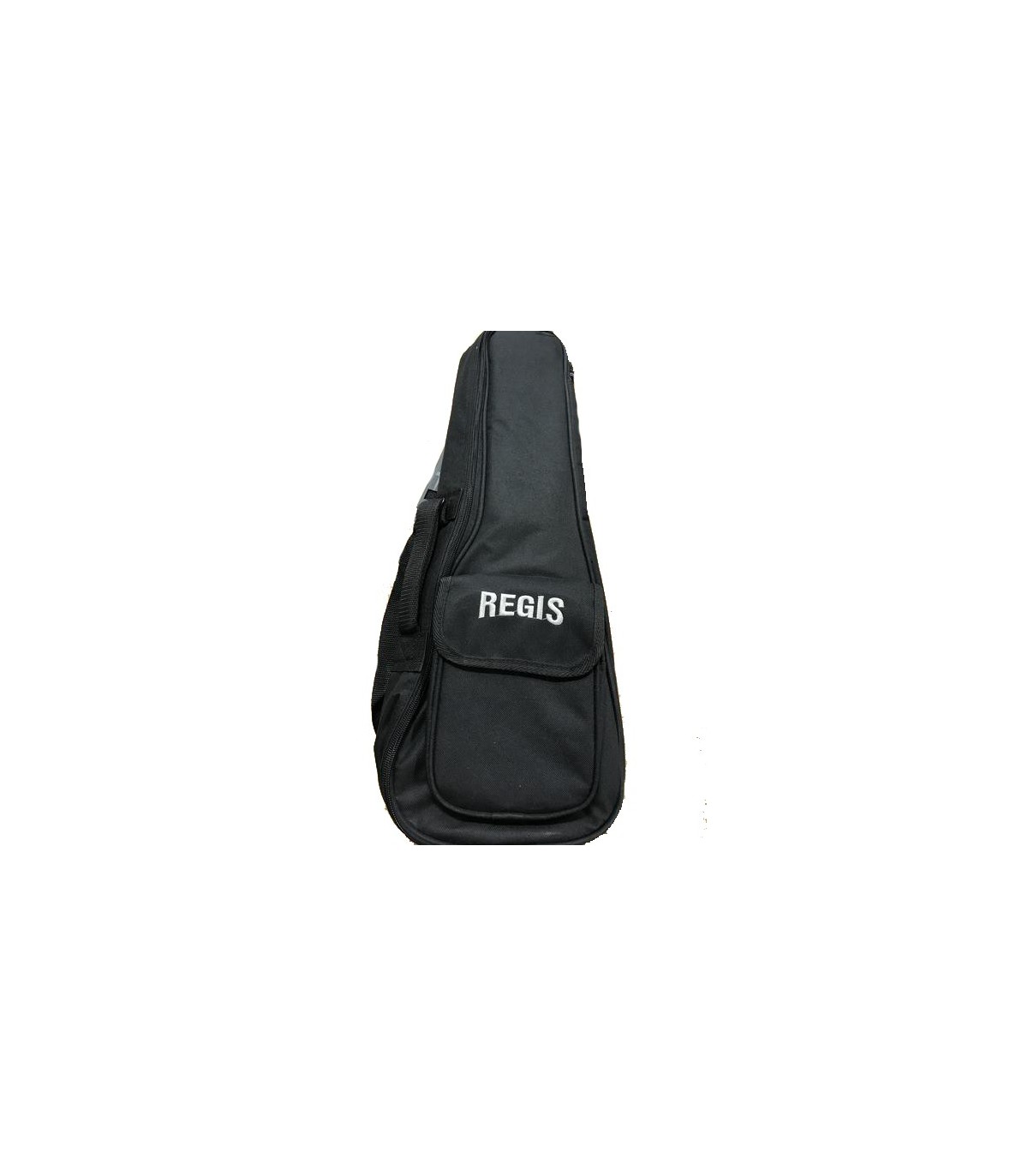 Magazin - F-Zone Regis R-101