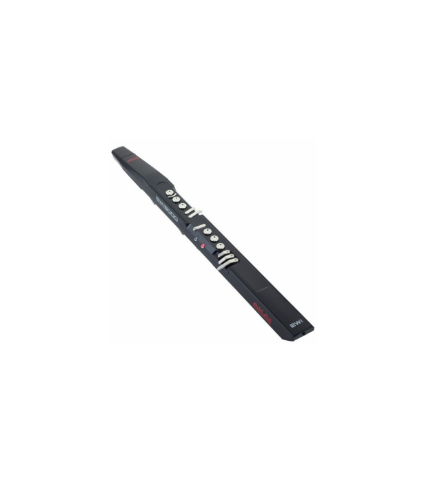 AKAI Professional EWI 5000 [4]
