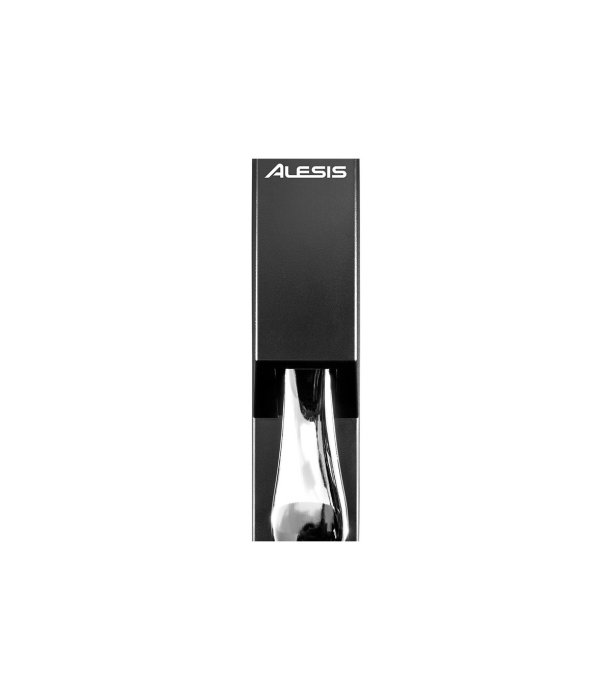 Alesis ASP-2 [4]