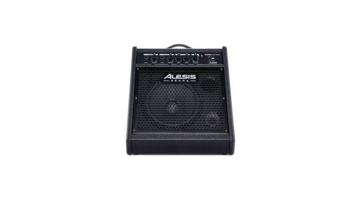 Alesis Nitro Amp Pro [4]