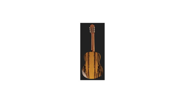 Alhambra 6 White Ebony [5]