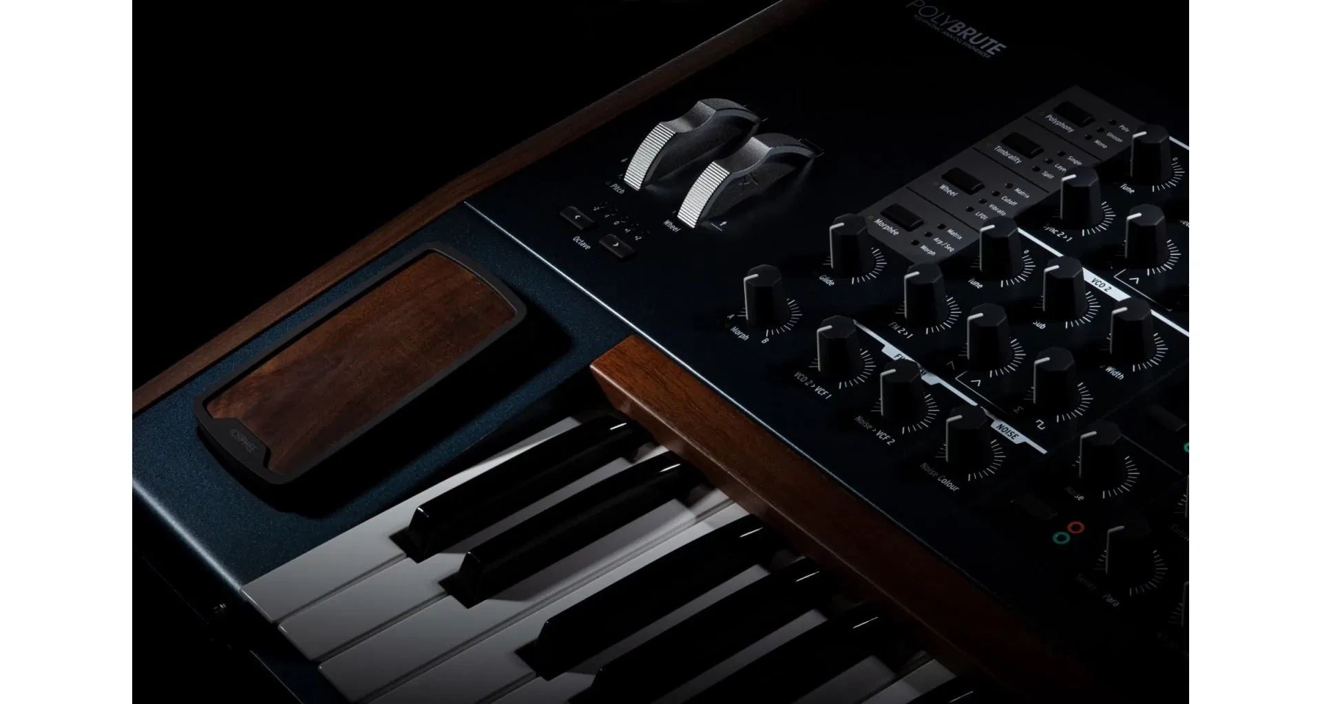 Arturia PolyBrute [22]