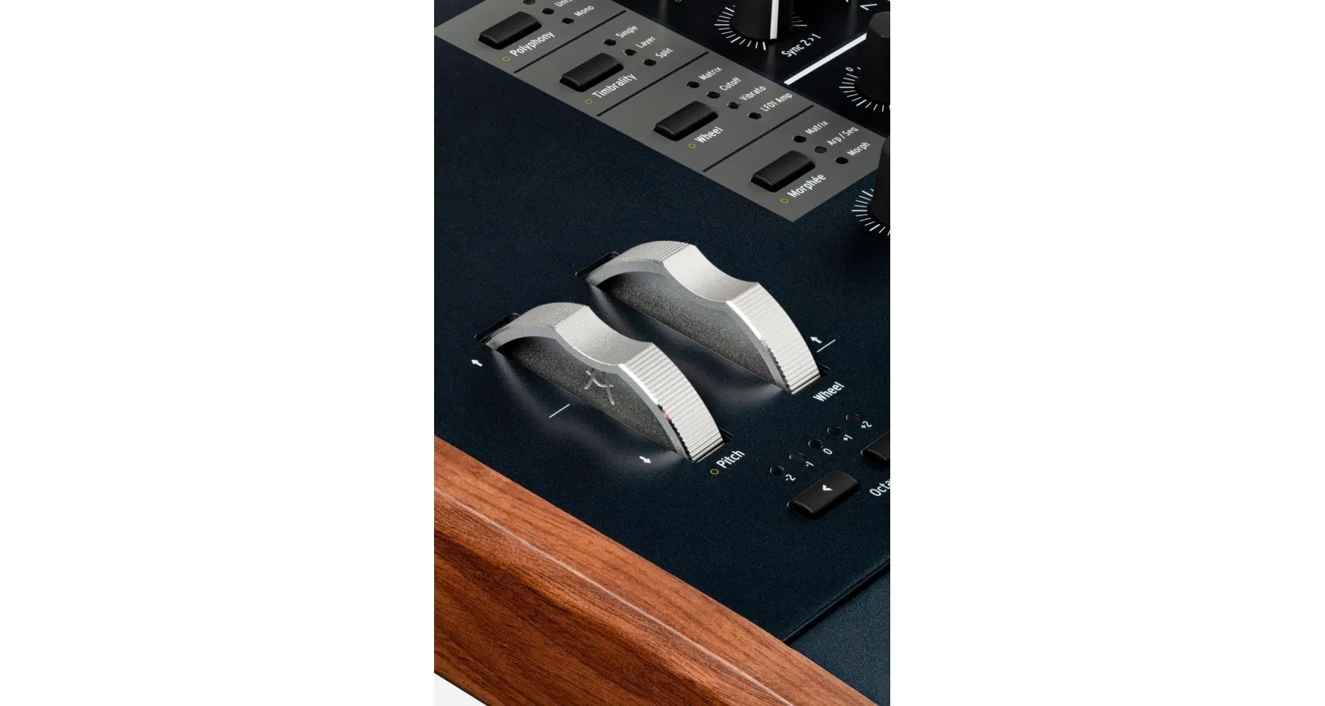 Arturia PolyBrute [14]