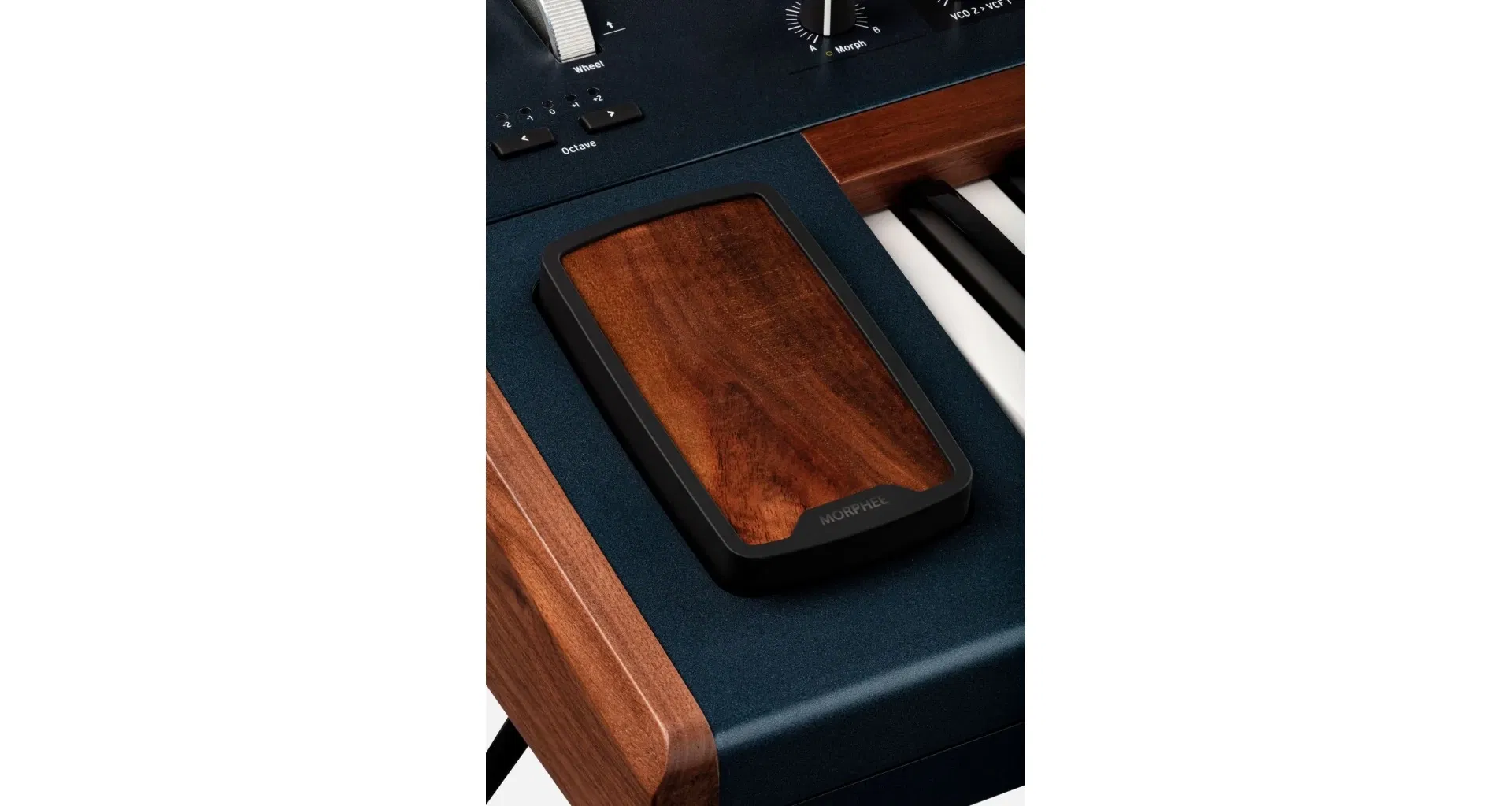 Arturia PolyBrute [13]