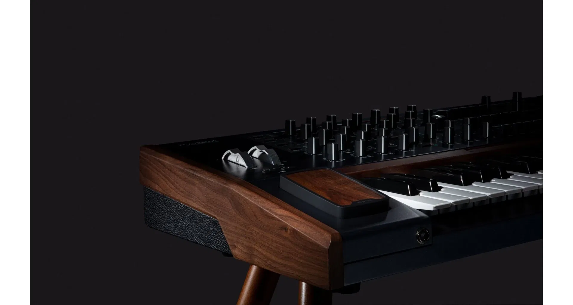 Arturia PolyBrute [21]