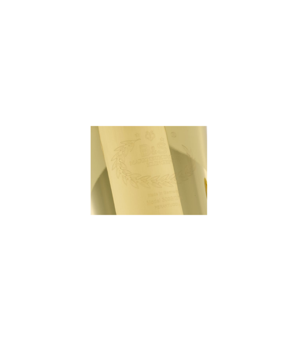 B&S 3099/2/W-L (PT-10) F-Tuba [9]