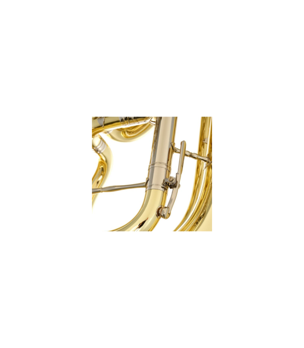 B&S 3099/2/W-L (PT-10) F-Tuba [7]