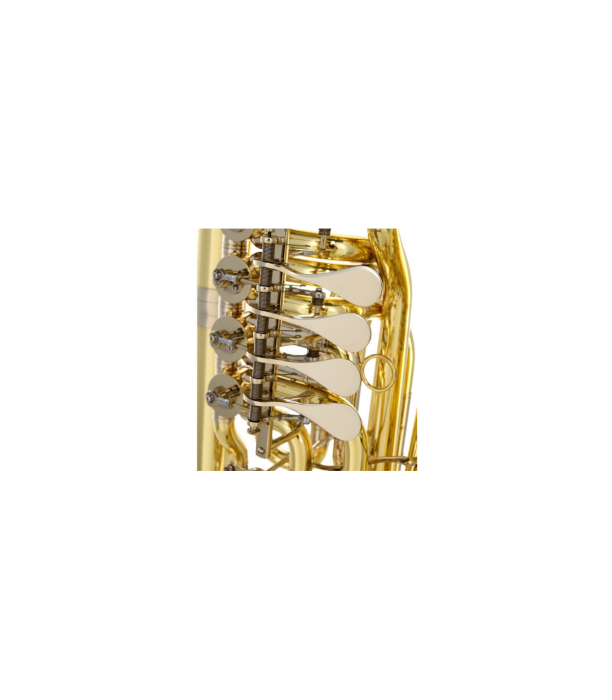 B&S 3099/2/W-L (PT-10) F-Tuba [5]