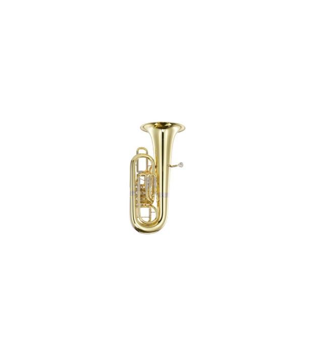 B&S 3099/2/W-L (PT-10) F-Tuba [3]