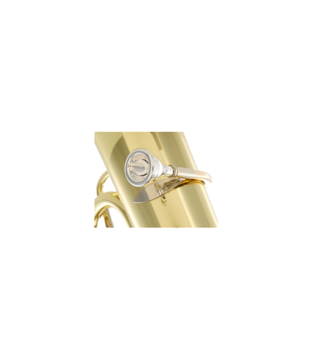 B&S 3099/2/W-L (PT-10) F-Tuba [8]