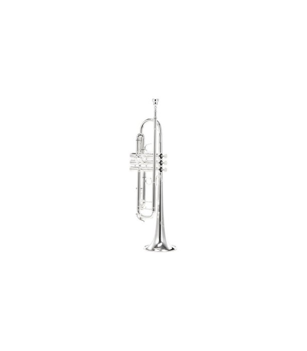 B&S 3125/2-S Challenger II S [2]