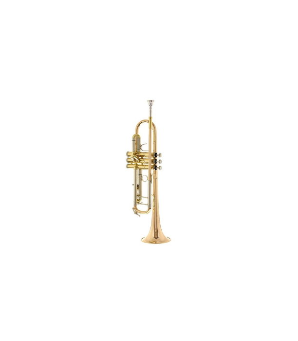 B&S 3137/2GLB-L Challenger II GM [2]