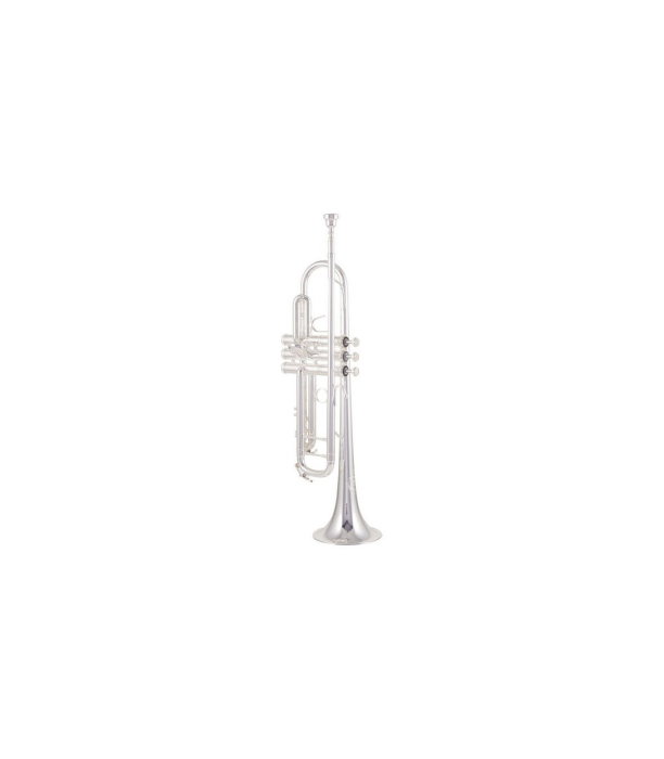 B&S 3137-S Challenger I S [2]