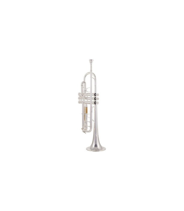 B&S 3137-S Challenger II S [2]