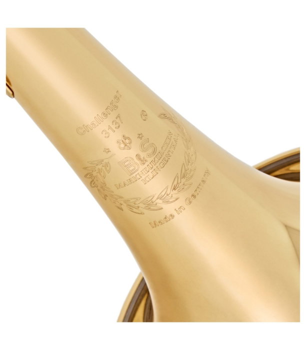 B&S 3137G-L Challenger I GM [4]