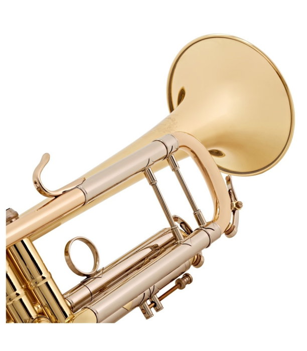 B&S 3137G-L Challenger I GM [7]