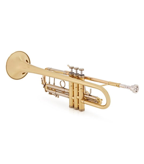 B&S 3137G-L Challenger I GM [3]
