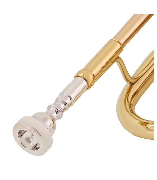 B&S 3137G-L Challenger I GM [5]