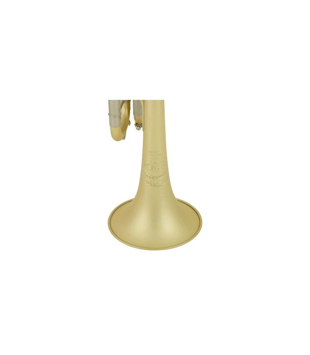 B&S 3138/2-E Elaboration 37 [8]