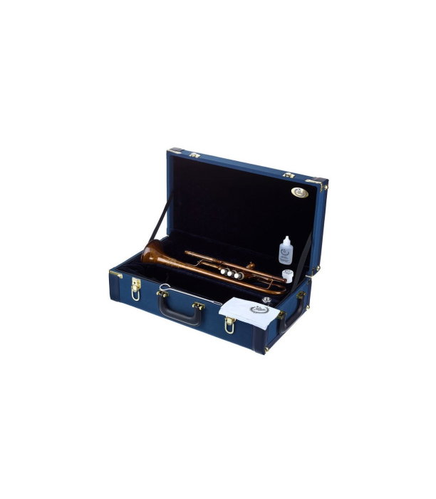 B&S 3138/2-V Vintage [10]