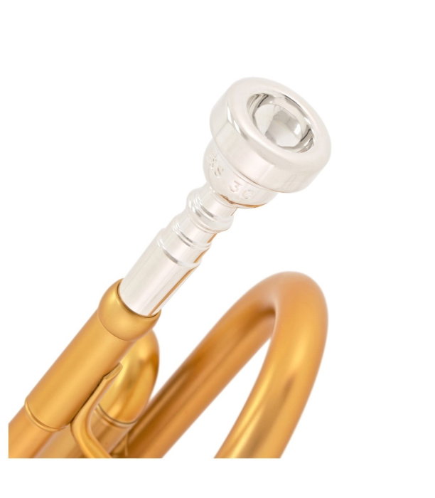 B&S MBX3-M Heritage X-Line Gold Brushed [7]