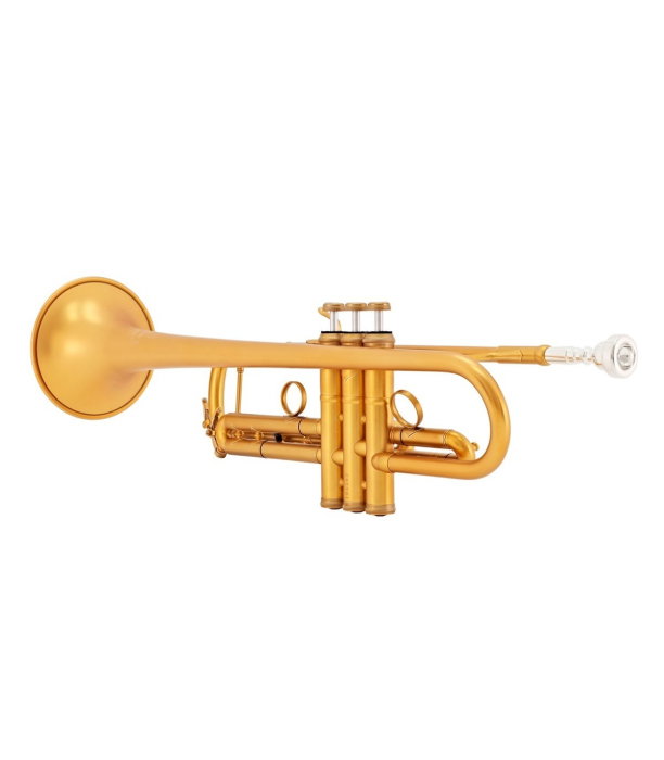 B&S MBX3-M Heritage X-Line Gold Brushed [3]
