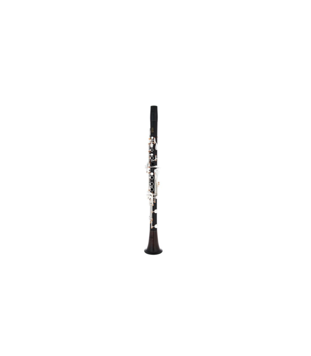 Buffet Crampon BCXXI Bb-Clarinet 19/6 [2]
