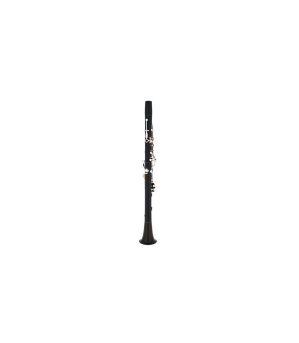 Buffet Crampon BCXXI Bb-Clarinet 19/6 [3]